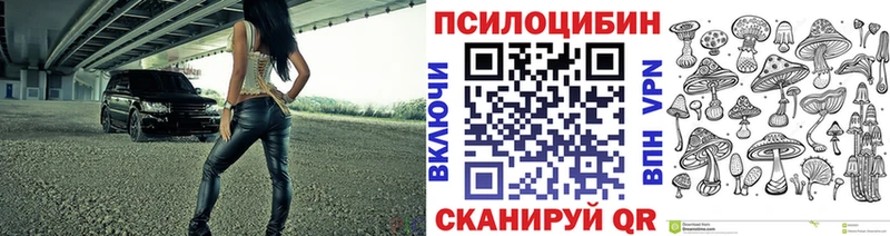 Псилоцибиновые грибы MAGIC MUSHROOMS  где можно купить наркотик  Слюдянка 